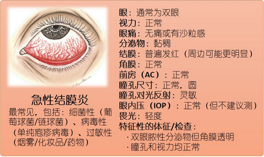 【看圖解】一張圖帶您了解紅眼病